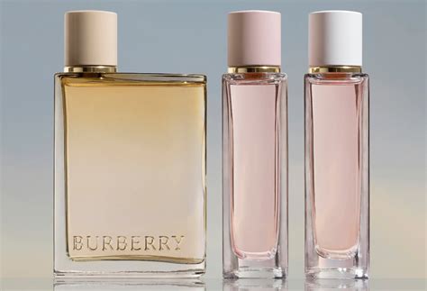 burberry cinnamon|Burberry perfume for women discontinued.